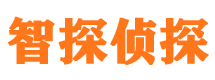 安仁市私家侦探